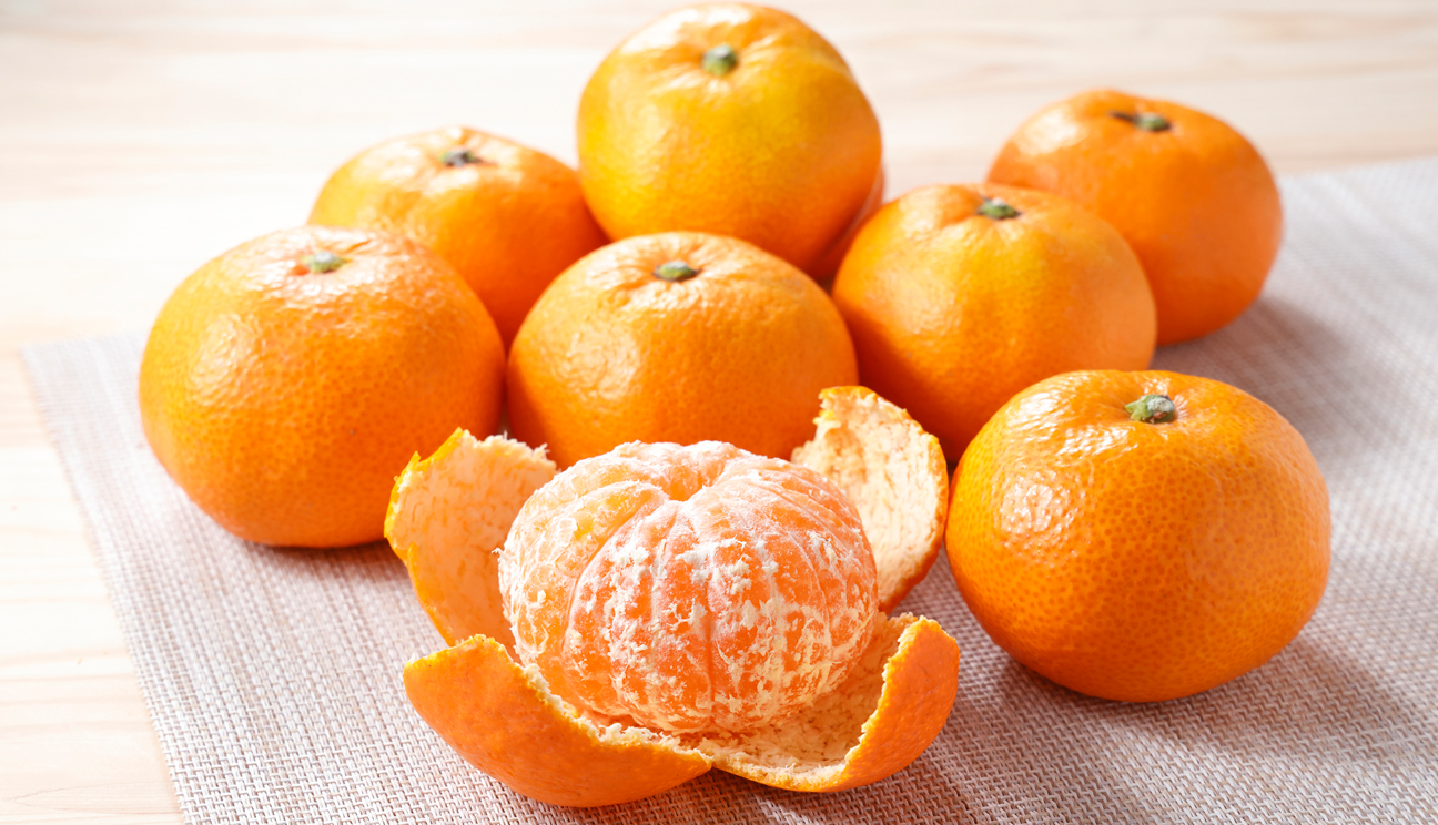 ❸温州みかん(南柑20号)