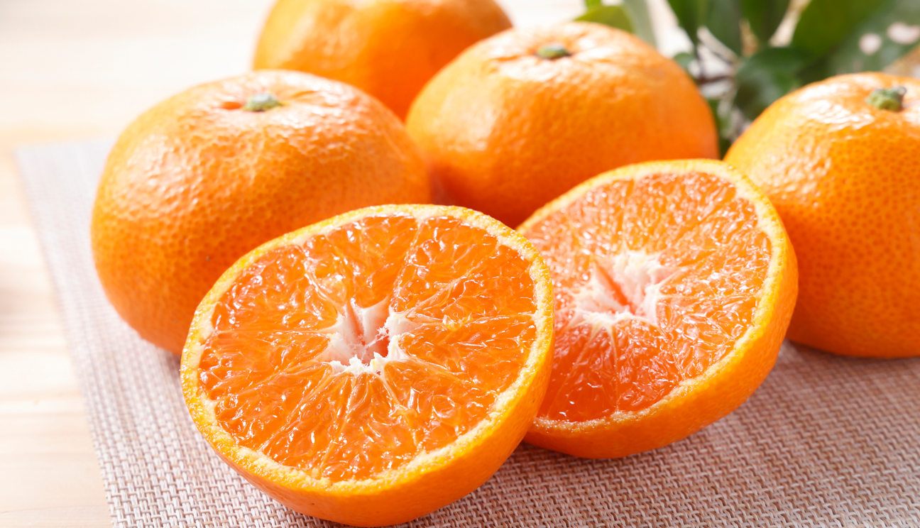 ❸温州みかん(南柑20号)