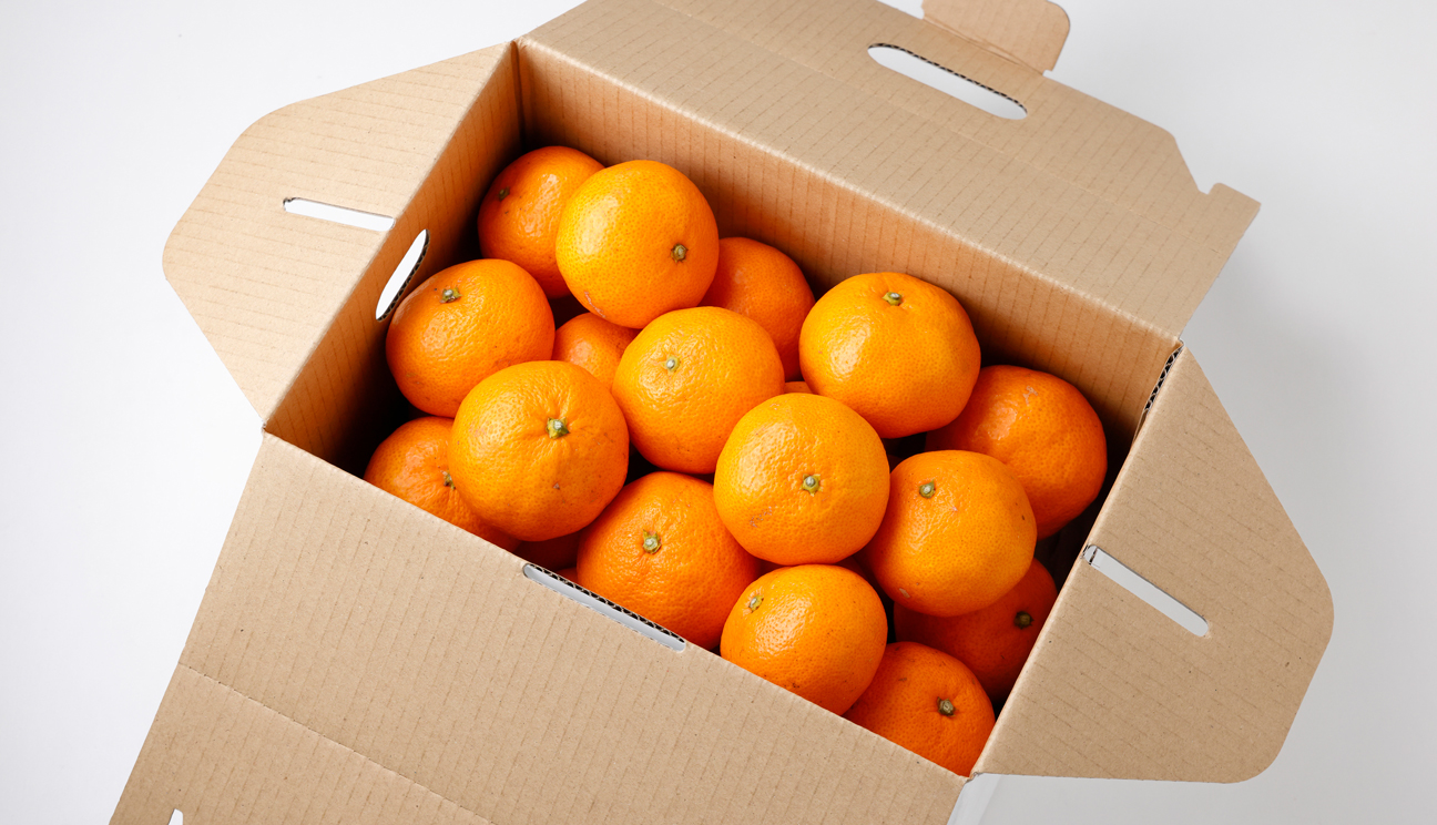 ❺温州みかん(早生)