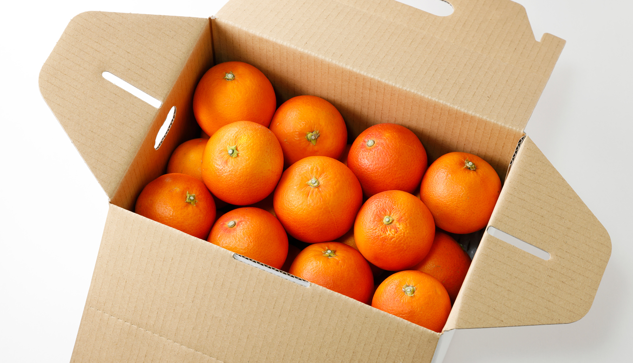 ⓫ブラッドオレンジ(タロッコ)