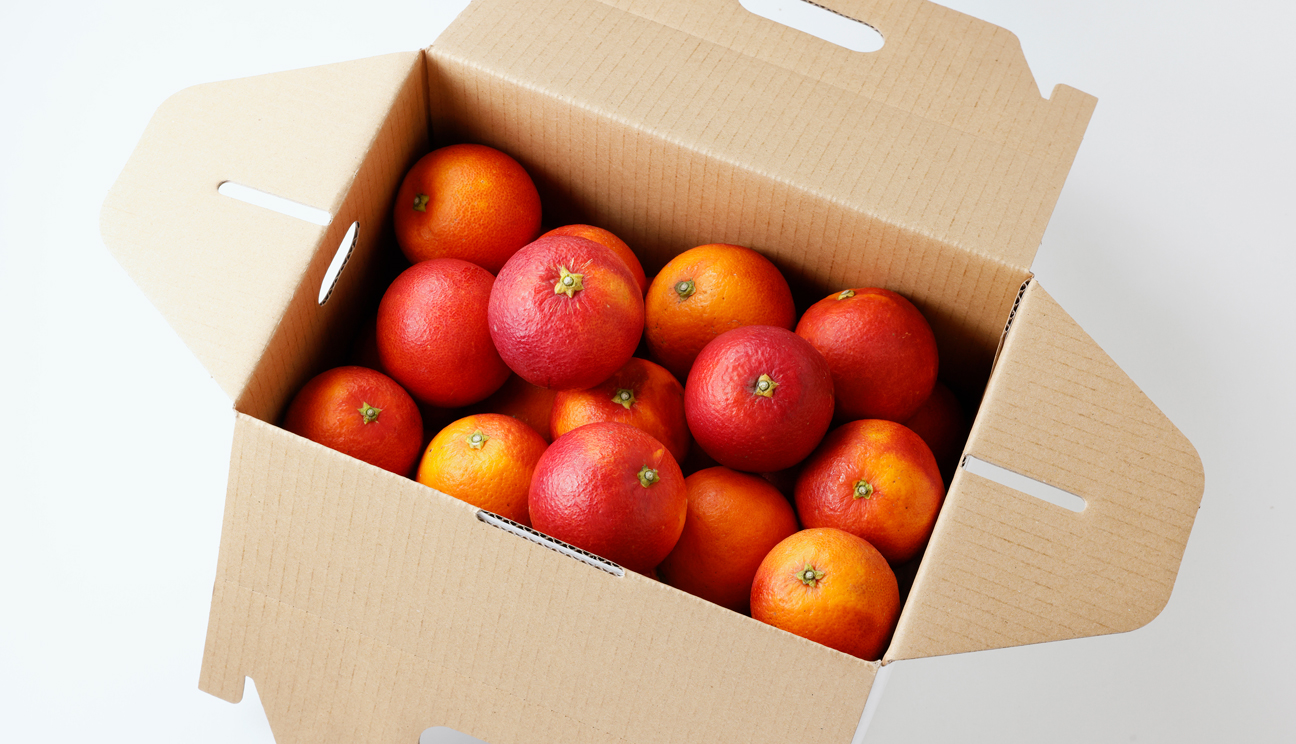 ⓬ブラッドオレンジ(モロ)