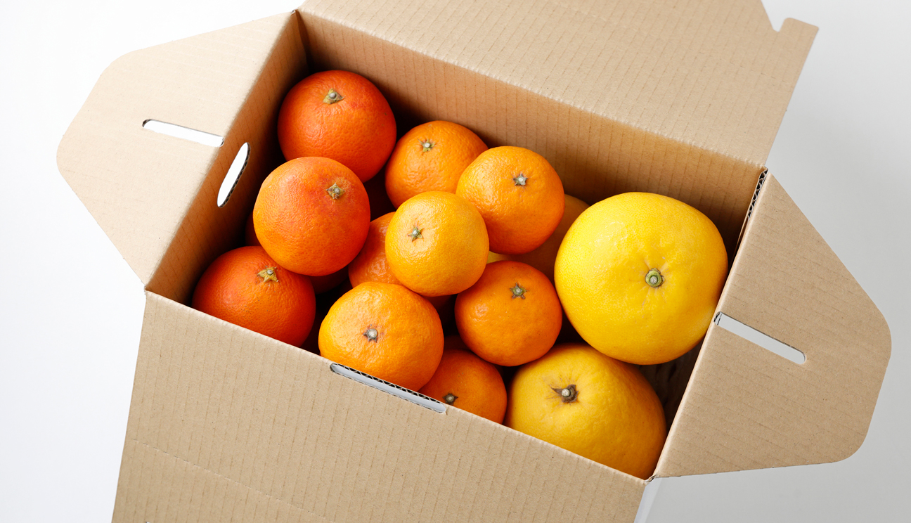 ⓳3種おまかせセット